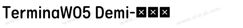 TerminaW05 Demi字体转换